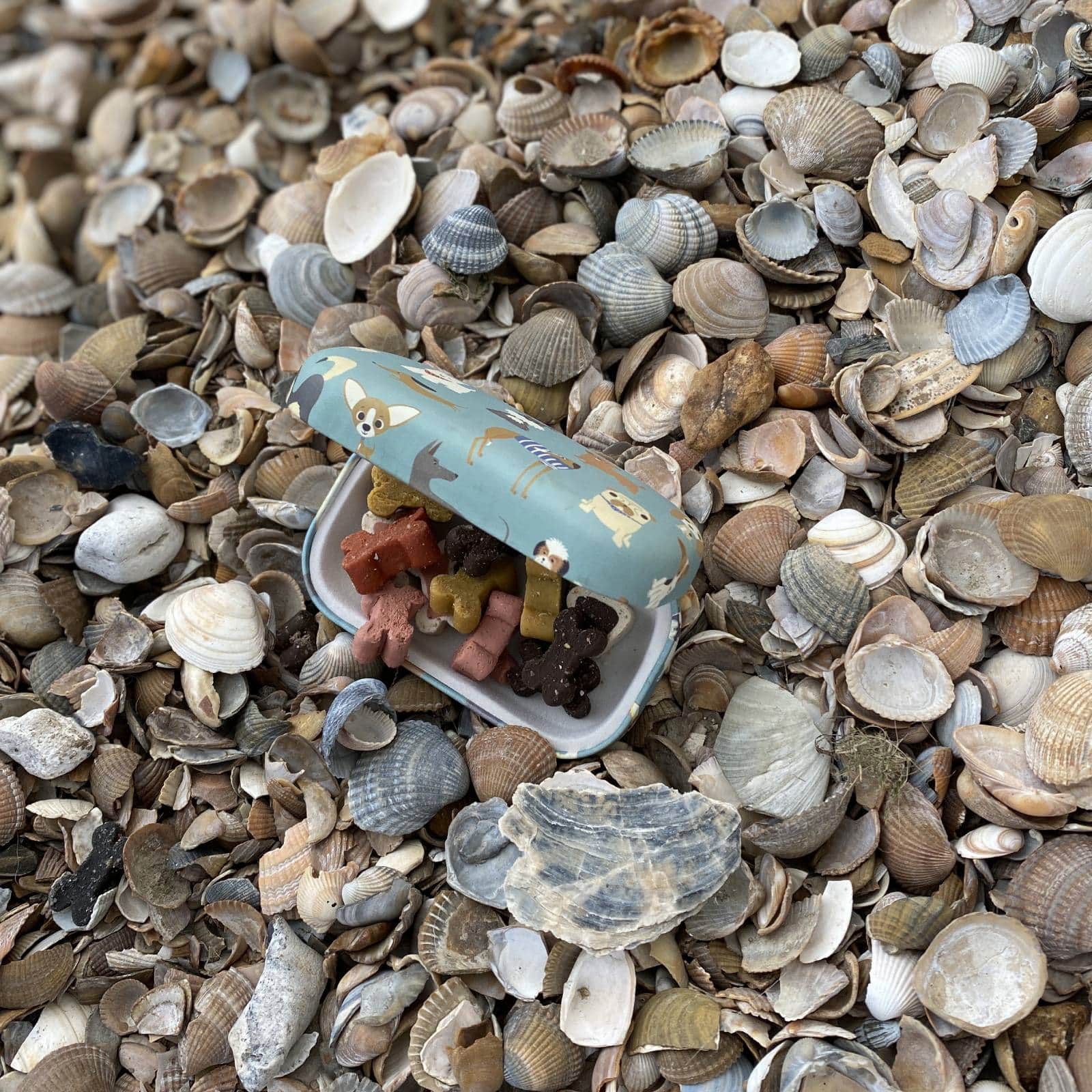 Handige hondensnoepjes opberger voor in je handtas - Afbeelding 3