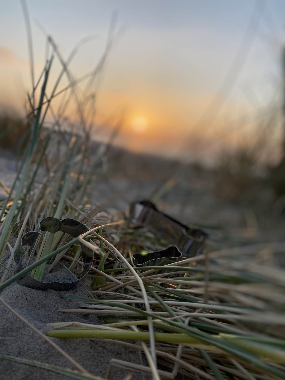 designdog-Honden-Koekjeskit